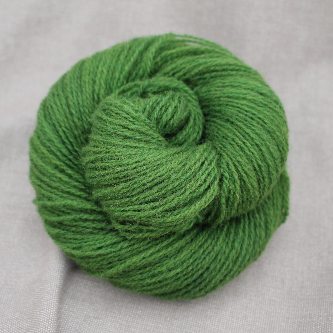 Grass green dyed skein of Severn 4 Ply